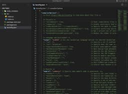 타입스크립트 컴파일러 옵션 설정하기 with tsconfig.json